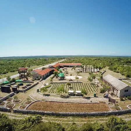 Family Dream House Ruzic